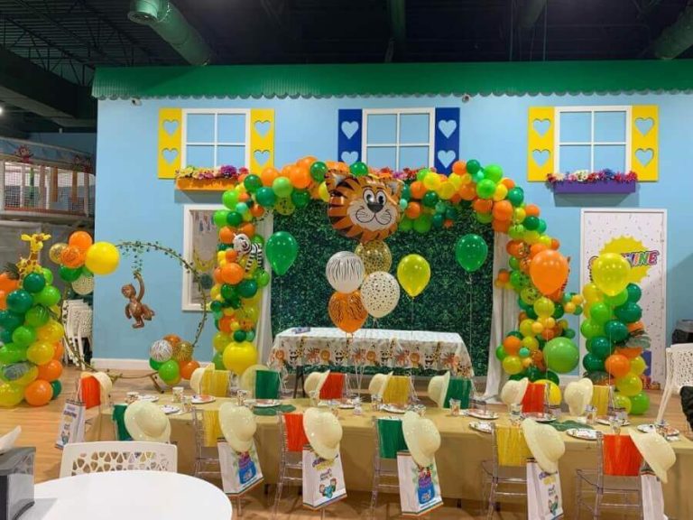 kids birthday party venues in Plano | kids play area Fairview